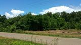 41.8 Hwy 127, Pikeville, TN 37367